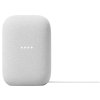 Google Nest Audio