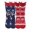 Vánoční ponožky sobi 2 páry Lonka