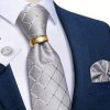 stribrna kravata svatebni luxusni