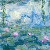 monet lekniny satek