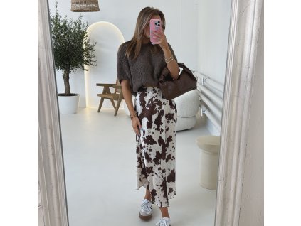 0658A32C FAB3 490E 8557 1ADC036ECD75