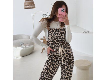 C4E08145 AEBD 43E0 BDAE 213299A59763