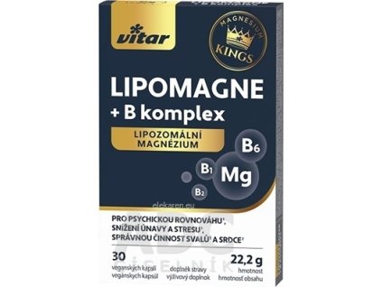 VITAR KINGS LIPOMAGNE + B komplex - 1x30 ks