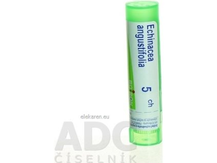 ECHINACEA ANGUSTIFOLIA - 1x4 g