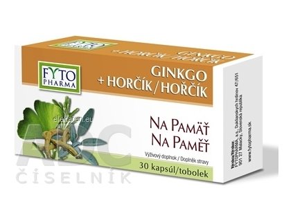 FYTO GINKGO + HORČÍK Na pamäť - 1x30