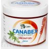Dr.Cann CANABEX konopné mazanie HREJIVÝ GÉL - 1x250 ml