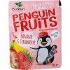 PENGUIN FRUITS Banana & Strawberry BIO - 1x15 g
