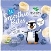 BONITAS Smoothie Bites Bluberry-Banana Yogurt BIO - 1x10 g