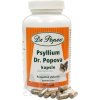 Dr. Popov PSYLLIUM - 1x120 ks