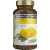 PÚPAVA lekárska - TARAXACUM FORTE - Pharmed New - 1x60 ks