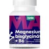 VIRDE Magnézium bisglycinát + B6 - 1x90 ks