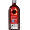LEROS SIRUP BYLINKOVÉ VIANOCE - 1x250 ml