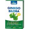 VITAR GINKGO BILOBA FORTE - 1x60 ks