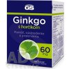 GS Ginkgo 60 mg s horčíkom - 1x90 ks