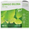 nefdesanté GINGKO BILOBA 60MG - cps 6x10 (60 ks)