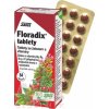 SALUS Floradix - 1x84 ks