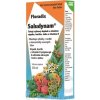 SALUS Floradix Saludynam - 1x250 ml