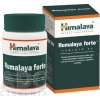 Himalaya Rumalaya Forte - 1x60 ks