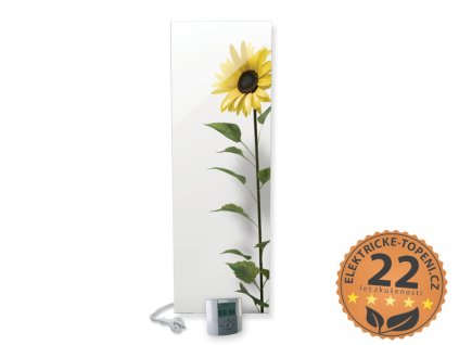 ECOSUN 500 GS+ Mirror