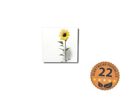 ECOSUN 300 GS-Wifi Mirror