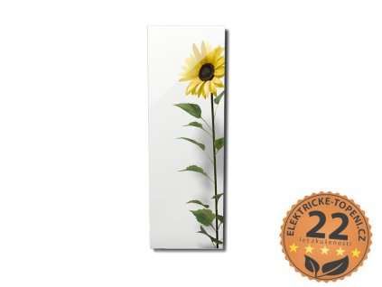 ECOSUN 500 GS-Wifi Mirror