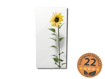 ECOSUN 600 GS-Wifi Mirror