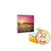 Ecosun 300 Basic s potiskem