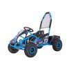 221275 3 elektricke auticko buggy predator modre