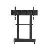TV lift 5