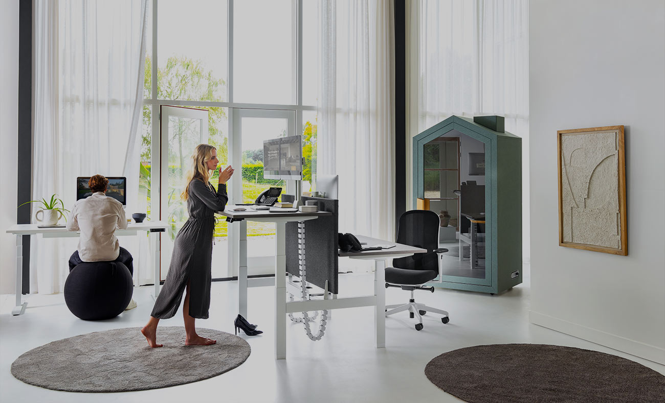 Ergonomic Office