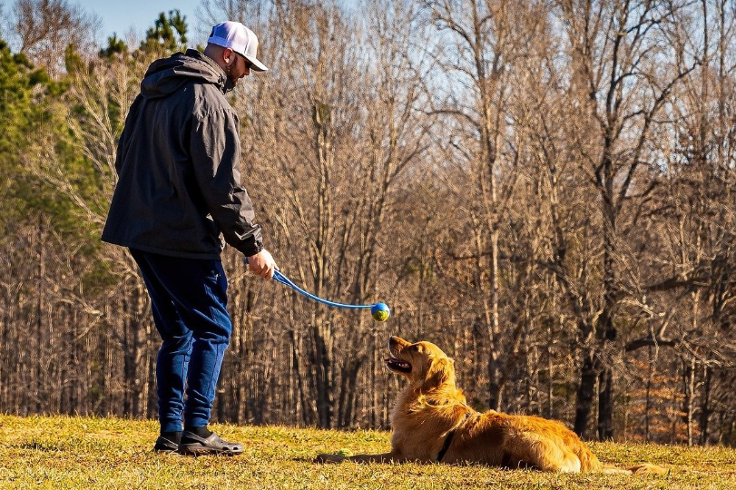 Jak používat elektronický výcvikový obojek ?