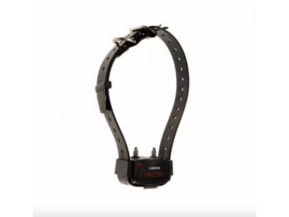 Obojek a přijímač Canicom 800