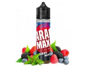 richut aramax 12ml shake and vape berry mint