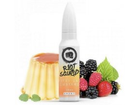 prichut riot squad shake and vape fifty cal custard 20ml