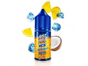 prichut just juice ice 30ml citron coconut