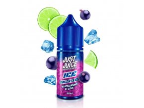 prichut just juice ice 30ml blackcurrant lime