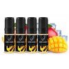 e liquid dreamix 4x10ml chill mango