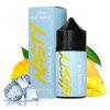 prichut nasty juice modmate mango ice 20ml