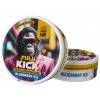 nikotinovy sacek aroma king full kick blueberry ice 20mg