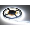 LED pás PROFI SMD 1808 5m 96W 9600lm 24V Studená biela IP20