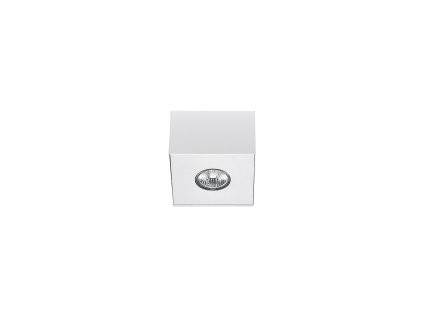 CARSON WHITE I 5573