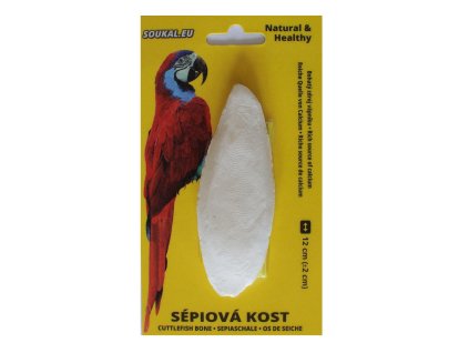 kost sépiová 12cm 1ks