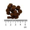 IRONpet pes granule 1,5kg Adult mini turkey
