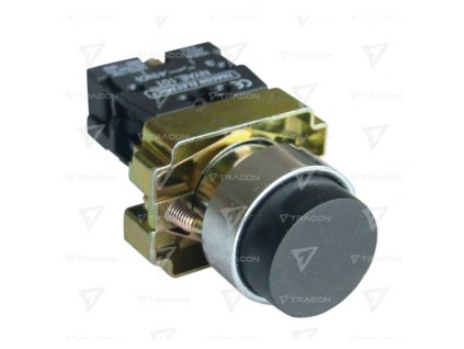 Výstuplé tlačidlo kovová doska 1xNO 3A 230V IP42 čierne NYGBL21