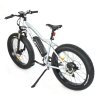 FAT BIKE 2