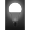 LED žárovka Retlux RLL 410 A65 E27 Bulb 15W neutrální bílá