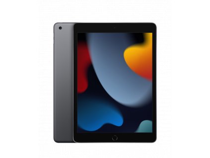 Apple 10.2-inch iPad 9 Wi-Fi 256GB - Space Grey