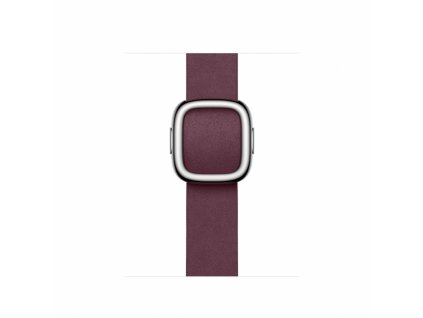 Apple Watch 41mm Band: Mulberry Modern Buckle - Small