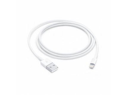 Apple Lightning to USB Cable (1 m)