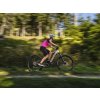 Crussis e-Full 10.9-M - rám  17"